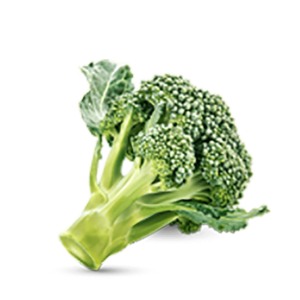 h3-product11 h3-product11