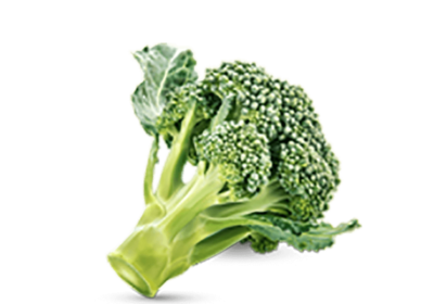 h3-product11 h3-product11