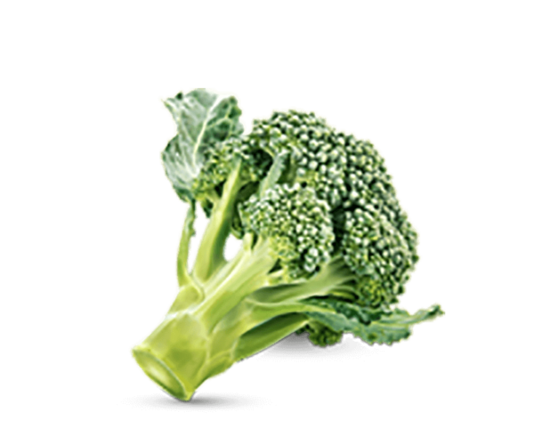 h3-product11 h3-product11