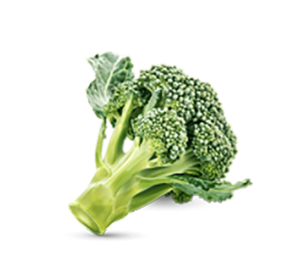 h3-product11 h3-product11