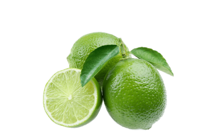 h3-product12 h3-product12