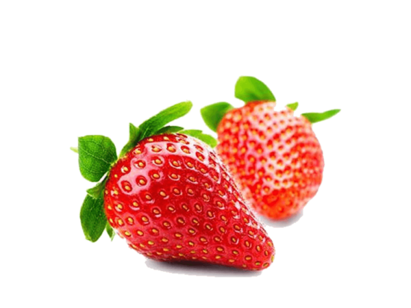 h3-product13 h3-product13