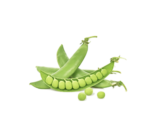 h3-product7 h3-product7