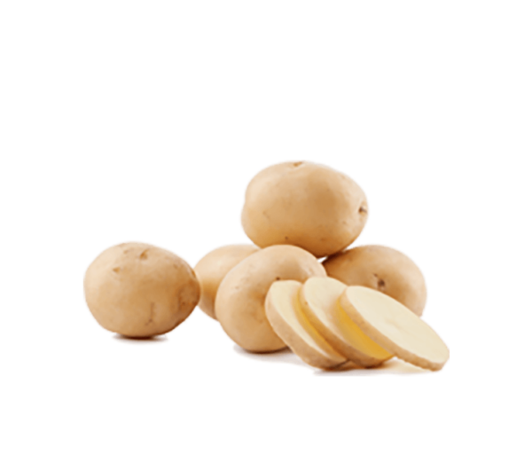 h3-product8 h3-product8